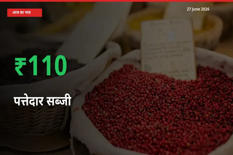 तेज़ तेजी! मंडी में पत्तेदार सब्जी के दाम 109.88% चढ़े