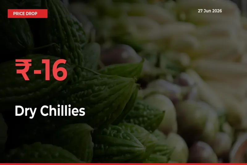 Dry Chillies Mandi Rate Today: Prices Fall 16.27% at Market