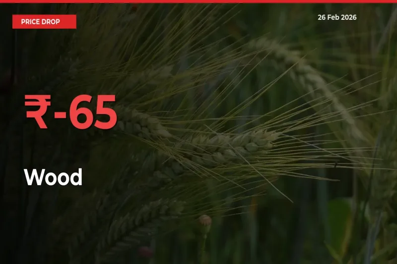 Why Wood Prices Fell 64.83% in a Day at Mandis