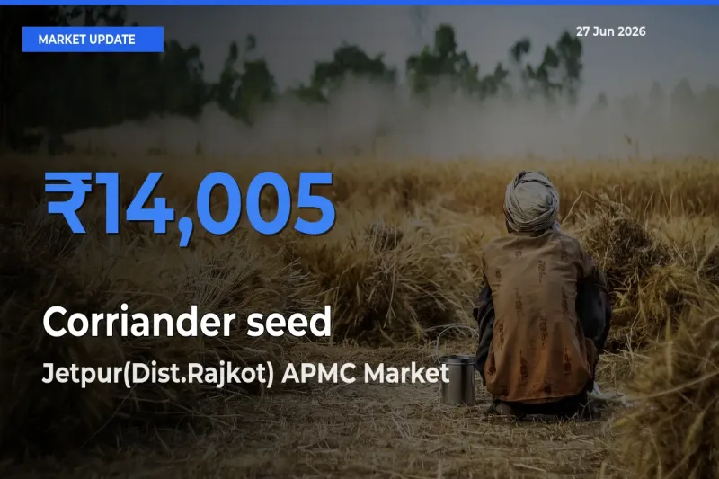 Farmers Prefer Jetpur(Dist.Rajkot) APMC as Corriander seed Hits Highest Rate