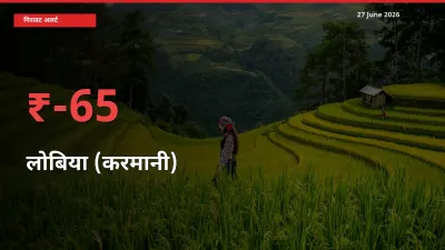 किसानों की चिंता बढ़ी! स्थानीय मंडी में लोबिया (करमानी) 64.57% गिरा