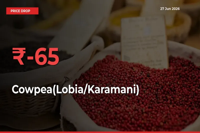 This Mandi Records 64.57% Fall in Cowpea(Lobia/Karamani) Prices
