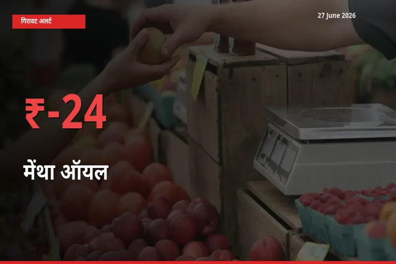 अचानक झटका! मंडी में मेंथा ऑयल के दाम 24.05% टूटे