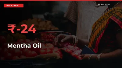 Mentha Oil Falls 24.05% at Mandis