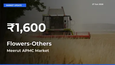 Flowers-Others Hits 30-Day Low in Meerut APMC