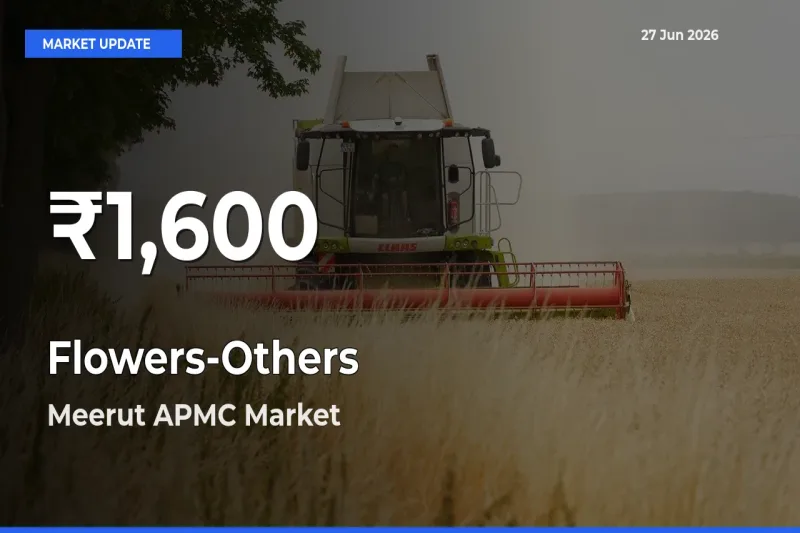 Flowers-Others Hits 30-Day Low in Meerut APMC