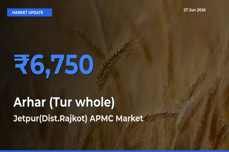 Jetpur(Dist.Rajkot) APMC Records Highest ₹6,750 Rate for Arhar (Tur whole)