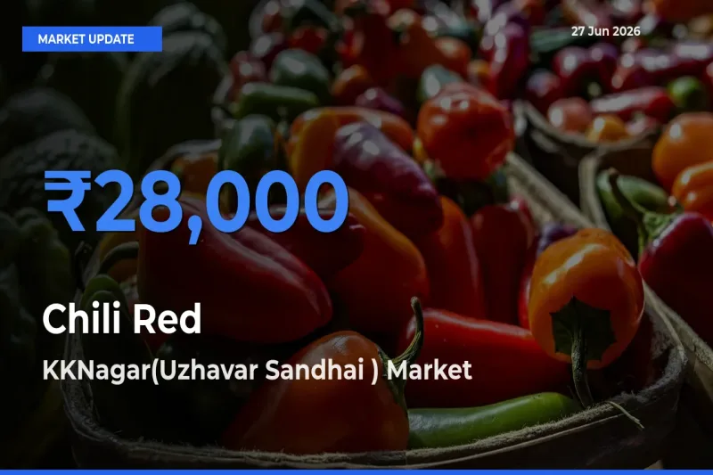 KKNagar(Uzhavar Sandhai ) Tops Chili Red Mandi Rates Today
