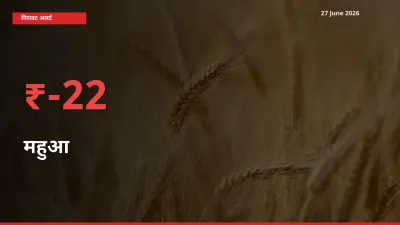 अचानक झटका! मंडी में महुआ के दाम 21.7% टूटे