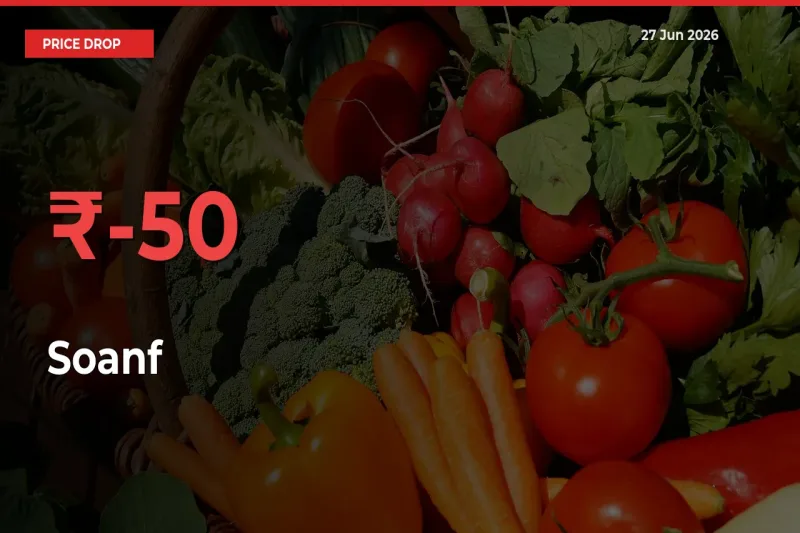 50% Drop in Soanf Prices – Mandi Sees Sudden Fall
