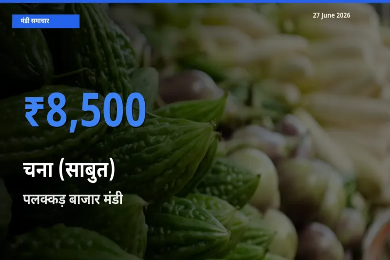 27 June अपडेट: चना (साबुत) के सबसे ऊँचे दाम पलक्कड़ बाजार मंडी में