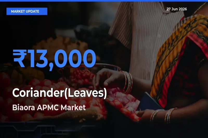 Biaora APMC Leads as Top Mandi for Coriander(Leaves) Prices