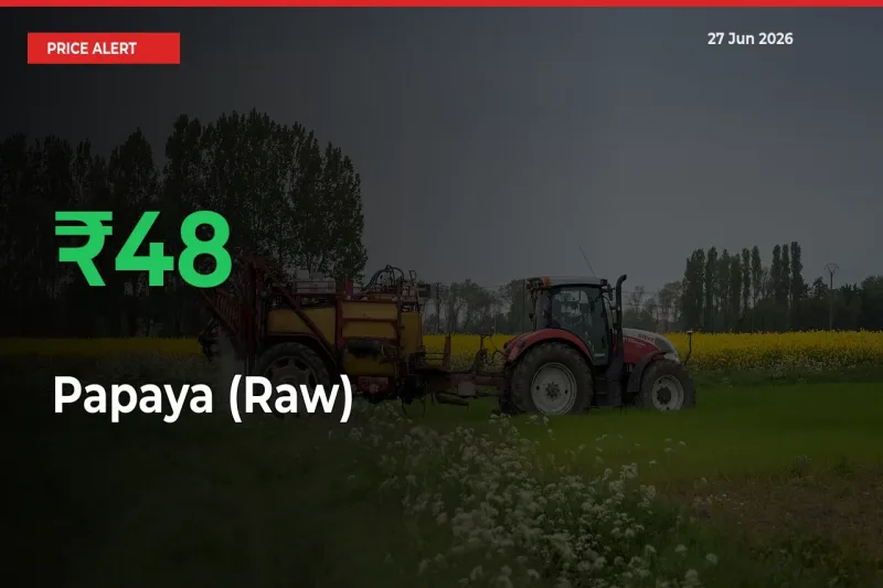47.83% Spike in Papaya (Raw) Prices – Mandi Sees Sudden Rally