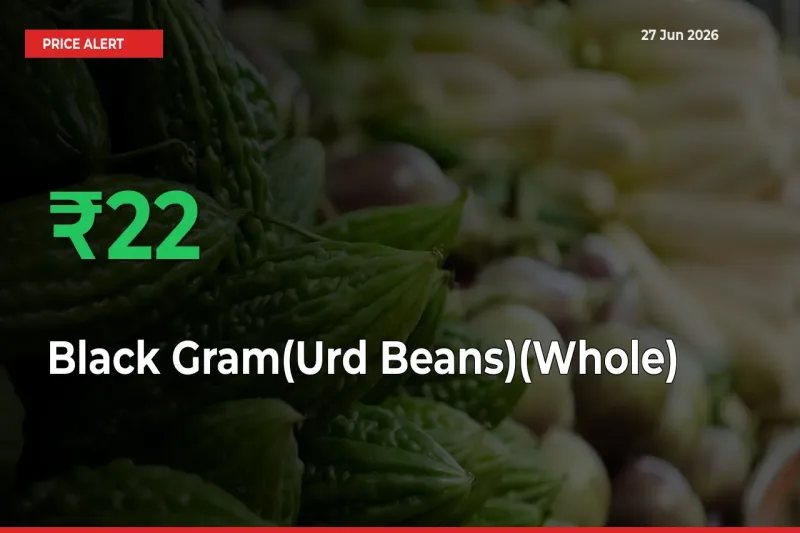 Black Gram(Urd Beans)(Whole) Prices Rise 21.63% in a Day at Major Mandis