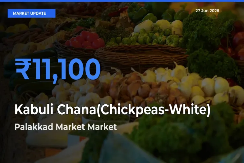 Top Performer! Palakkad Market Offers Best Kabuli Chana(Chickpeas-White) Price Today