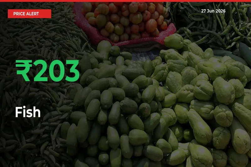 This Mandi Records 202.72% Jump in Fish Prices