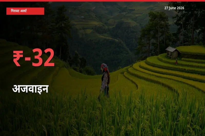 बाज़ार संकेत: अजवाइन के भाव मंडी में 31.84% नीचे