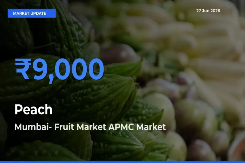 Mumbai- Fruit Market APMC Emerges as Top Mandi for Peach Prices Today