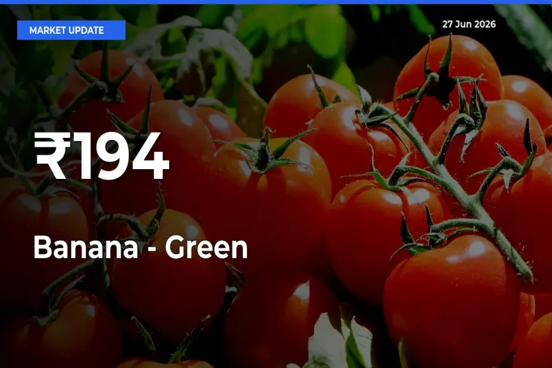 Banana - Green Prices Gain Momentum Across 194+ Mandis – Market Trend Strengthens