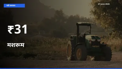 कई मंडियों में मशरूम के भाव एक दिशा में, बाज़ार का रुख साफ