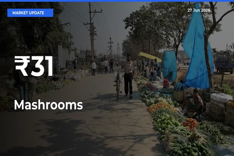 Mashrooms Shows Strong Mandi Trend – June 27 Market Update
