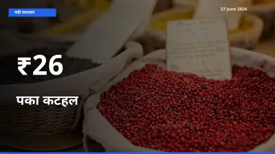 कई मंडियों में पका कटहल के भाव बदले – बाज़ार में बड़ा संकेत