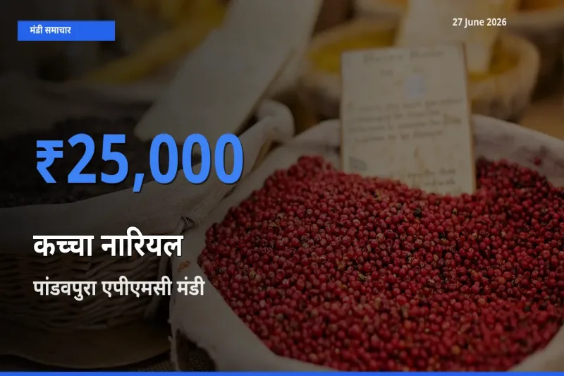 आज कच्चा नारियल के सबसे ज़्यादा दाम पांडवपुरा एपीएमसी मंडी में दर्ज