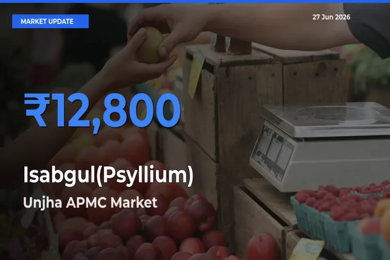 Farmers Prefer Unjha APMC as Isabgul(Psyllium) Hits Highest Rate