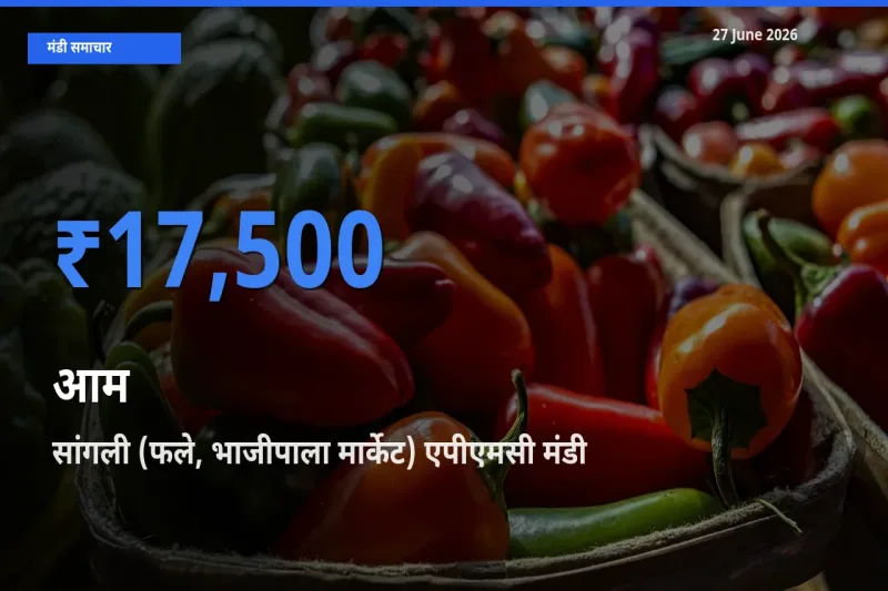 सांगली (फले, भाजीपाला मार्केट) एपीएमसी मंडी में आम ₹17,500 पर पहुँचा – आज का सर्वोच्च भाव