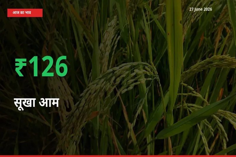 स्थानीय मंडी में सूखा आम के दाम अचानक 125.88% उछले, किसान सतर्क
