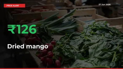 Sharp Jump! Dried mango Prices Climb 125.88% in 24 Hours at Key Mandis