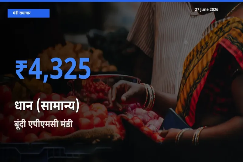 टॉप मंडी बना बूंदी एपीएमसी! धान (सामान्य) के सबसे ऊँचे दाम यहीं दर्ज