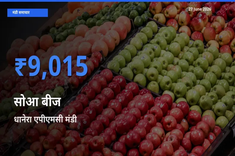 27 June अपडेट: सोआ बीज के सबसे ऊँचे दाम धानेरा एपीएमसी मंडी में