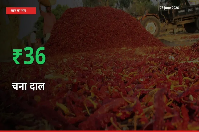 चना दाल के दाम प्रमुख मंडी में 35.81% बढ़े, 24 घंटे में बड़ा बदलाव