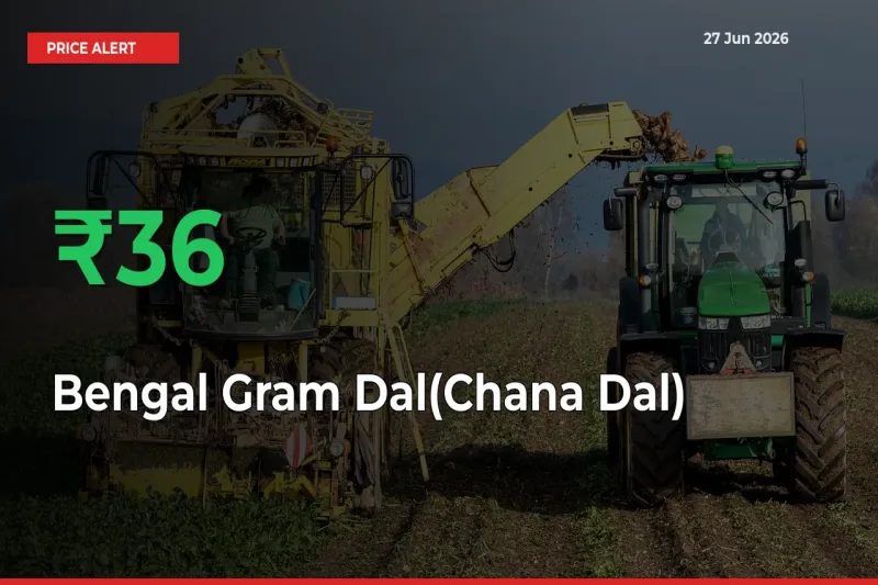 35.81% Spike in Bengal Gram Dal(Chana Dal) Prices – Mandi Sees Sudden Rally