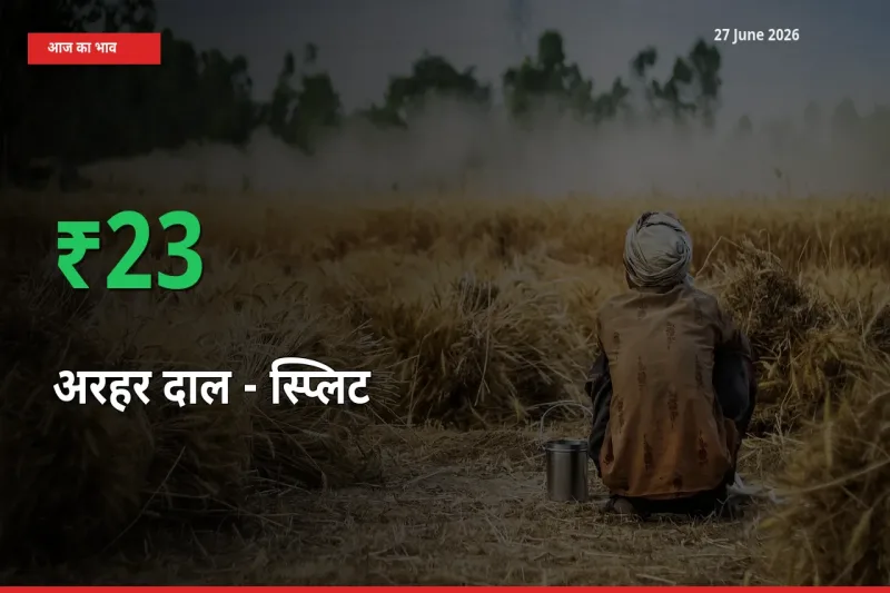 अरहर दाल - स्प्लिट 22.5% उछला, मंडी