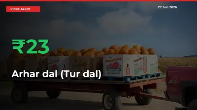 Arhar dal (Tur dal) Prices Rise 22.5% in a Day at Major Mandis