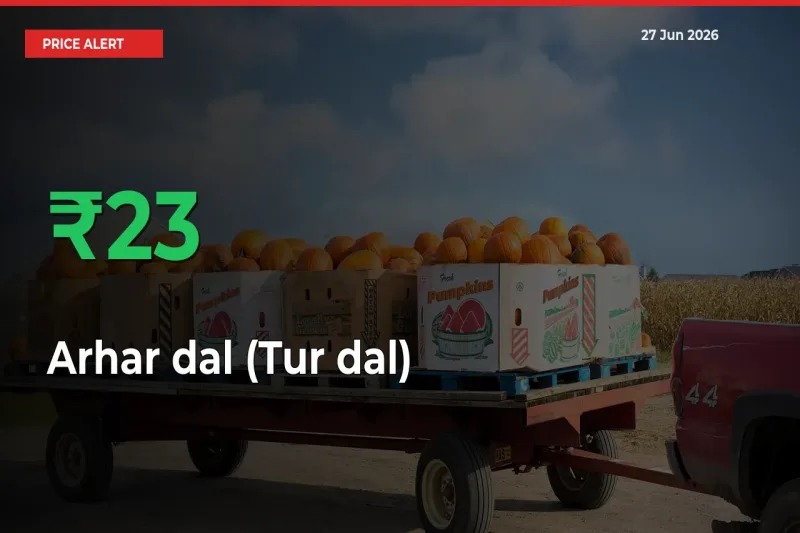Arhar dal (Tur dal) Prices Rise 22.5% in a Day at Major Mandis