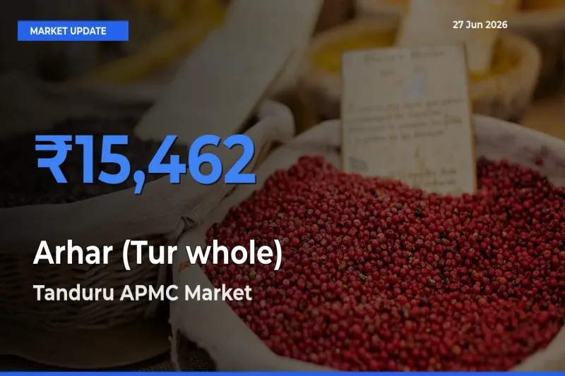 Top Performer! Tanduru APMC Offers Best Arhar (Tur whole) Price Today