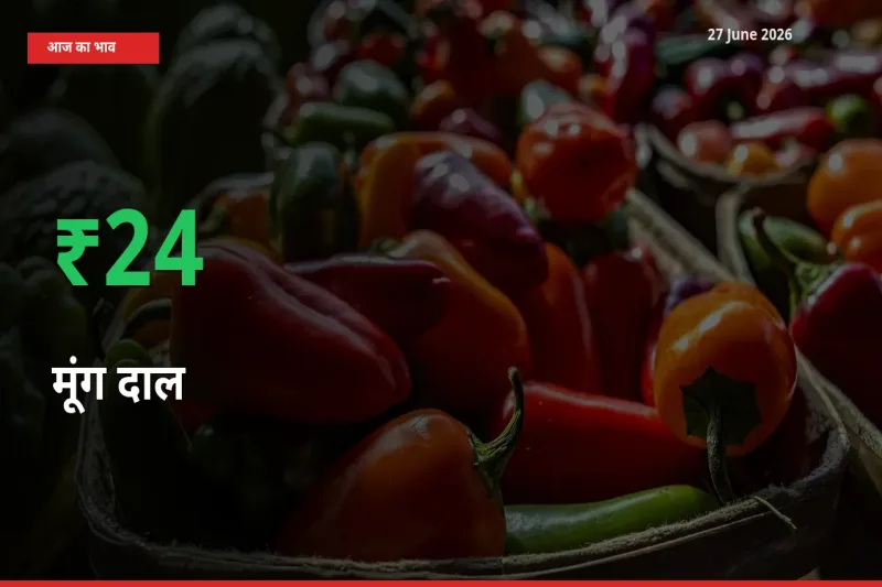 27 June अपडेट: मूंग दाल के दाम मंडी में 23.87% उछले