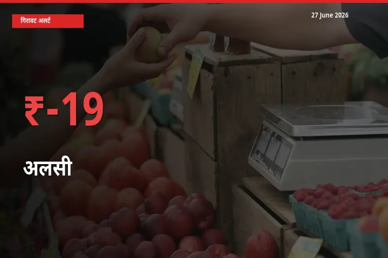 18.62% की गिरावट! मंडी में अलसी के दाम अचानक टूटे