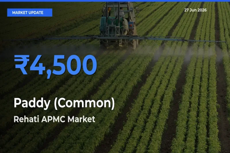 Rehati APMC Leads as Top Mandi for Paddy (Common) Prices