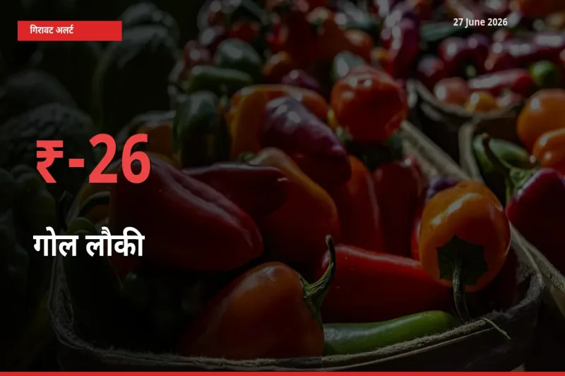 गोल लौकी के दाम प्रमुख मंडी में 26.23% गिरे, 24 घंटे में बड़ा बदलाव