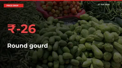 Farmers Alert as Round gourd Prices Slide 26.23% in Local Mandis