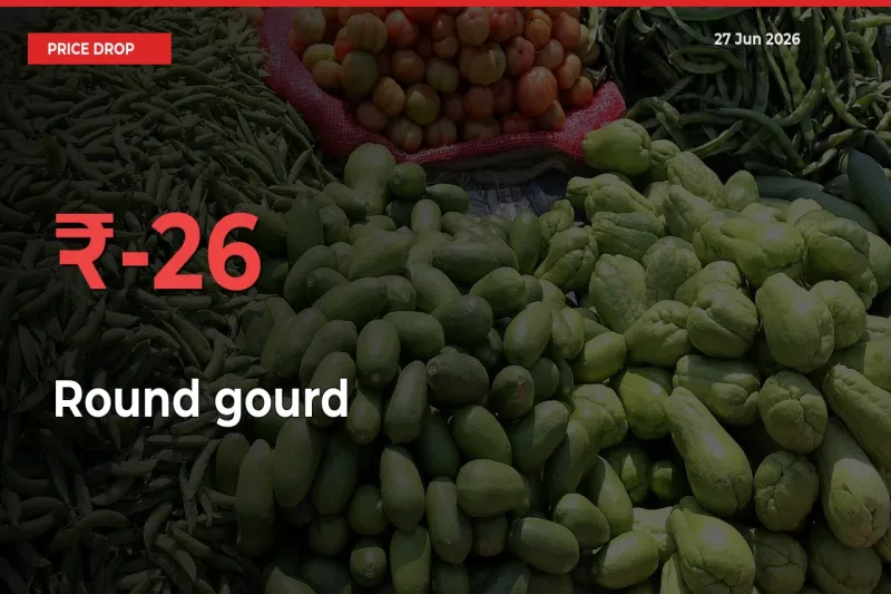 Farmers Alert as Round gourd Prices Slide 26.23% in Local Mandis