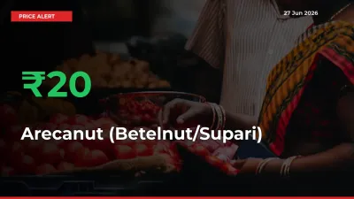 Farmers Cheer as Arecanut (Betelnut/Supari) Prices Surge 19.56% in Local Mandis