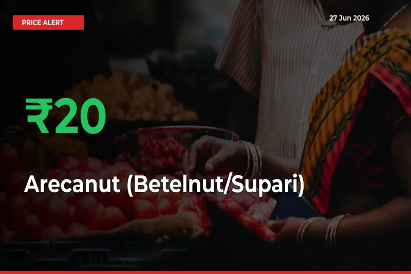 Farmers Cheer as Arecanut (Betelnut/Supari) Prices Surge 19.56% in Local Mandis