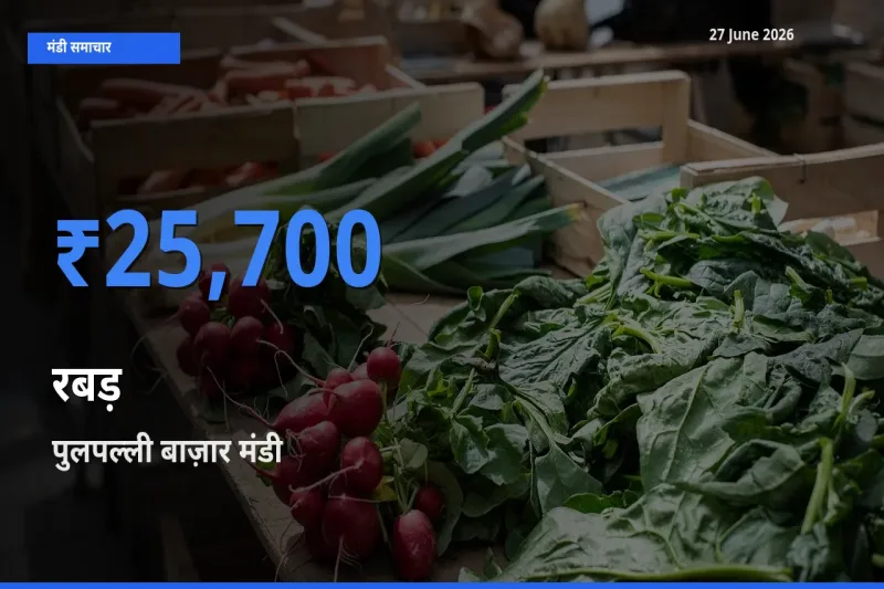 आज का मंडी भाव: रबड़ के सबसे ज़्यादा दाम पुलपल्ली बाज़ार में