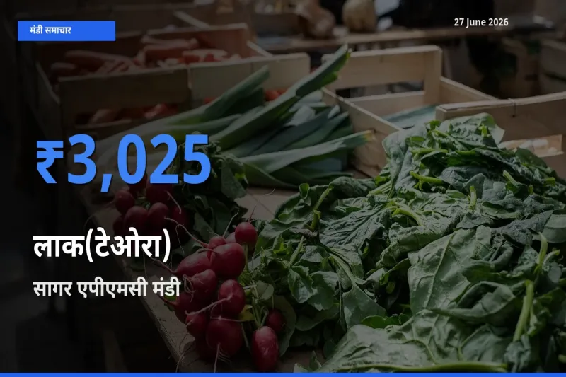 किसानों की पसंद बना सागर एपीएमसी, लाक(टेओरा) के सबसे अच्छे दाम