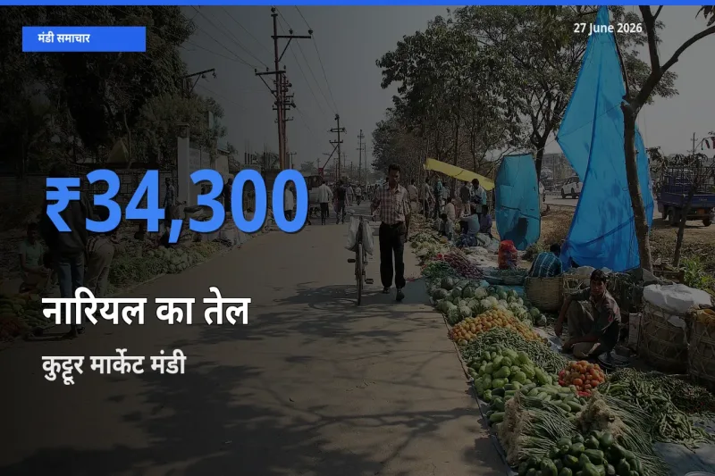 टॉप मंडी बना कुट्टूर मार्केट! नारियल का तेल के सबसे ऊँचे दाम यहीं दर्ज